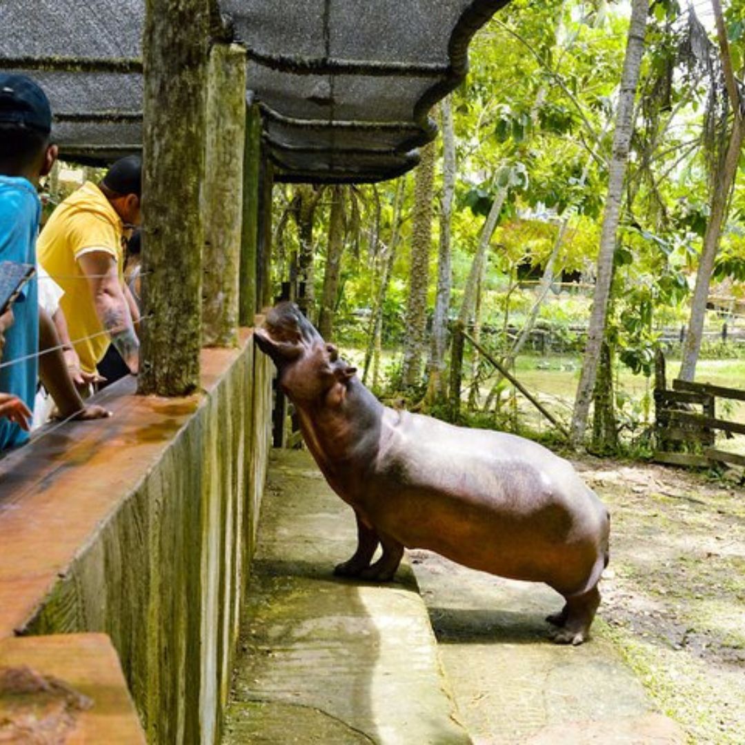 Parque temático Tour a Hacienda Nápoles